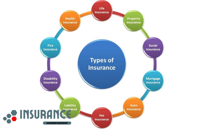 TYPES OF INSURANCE
